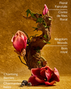 Untitled 10.webp